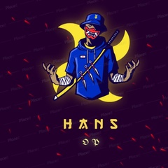 Hans Gaming-Yt - видео и фото