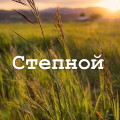 Степной-Тату Студия - видео и фото