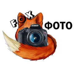 Fox Foto - видео и фото