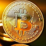 Bitcoin Viral - видео и фото