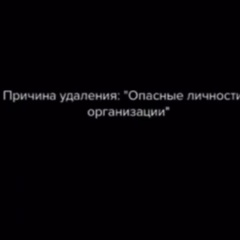 Тимур Тимаев - видео и фото