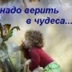 Любовь Psyl - видео и фото