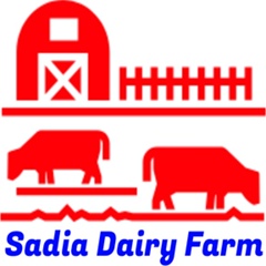 Sadia-Dairy Cow-Farm - видео и фото