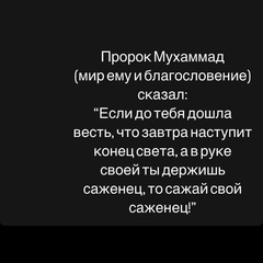 Джамиля Нурлубаева - видео и фото