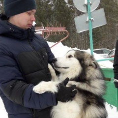 Евгений Мизев - видео и фото