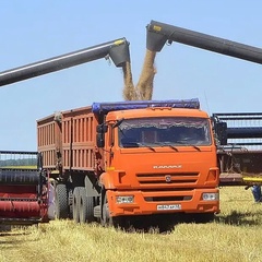 Ранис Габидуллаевич - видео и фото