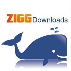 Zigg Downloads - видео и фото