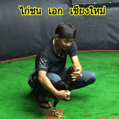 เอก เชียงใหม่ - видео и фото