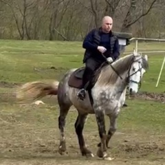 Дмитрий Осошкин - видео и фото