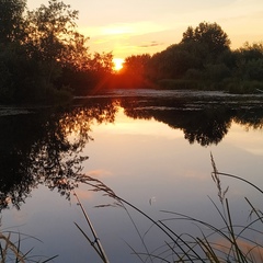 Александр Киреев - видео и фото