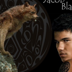 Jacob Black - видео и фото