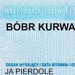 Bóbr Kurwa - видео и фото