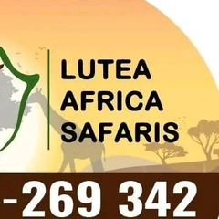 Lutea Safaris-Kenya - видео и фото