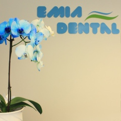 Emia Dental - видео и фото