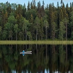 Дмитрий Литвинов - видео и фото