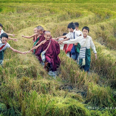 အရွင္ကု႑လ ပြင့္ျဖူ - видео и фото