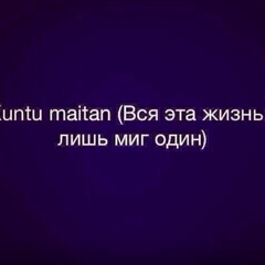 Алтынай Мухамедя - видео и фото