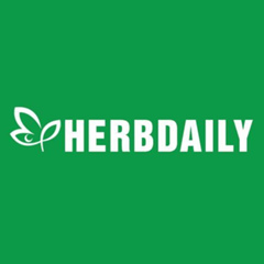 Herbdaily Limo - видео и фото