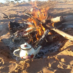 مامون بن-يوسف - видео и фото