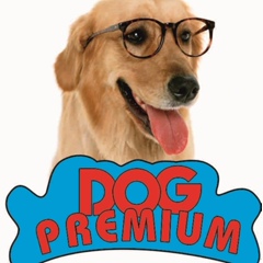 Dog Premium - видео и фото