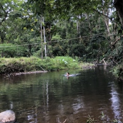 Río-Cuarto-Costa-Rica La-Isla - видео и фото