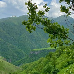 Гаджиев Агаммед - видео и фото