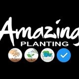 Amazing Planting - видео и фото