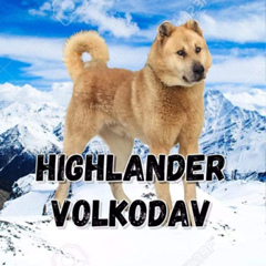 Highlander Volkodav - видео и фото