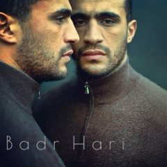 Badr Hari - видео и фото