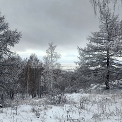 Дим Курмангалин - видео и фото