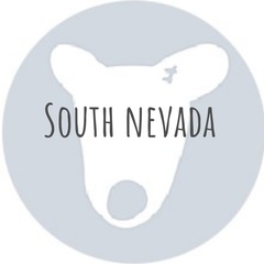 South Nevada - видео и фото