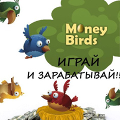 Money Birds - видео и фото