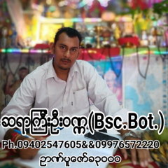 ေဗဒင္လကၡဏာဆရာၾကီးဥ ဆရာၾကီးဦးဝဏၰ - видео и фото