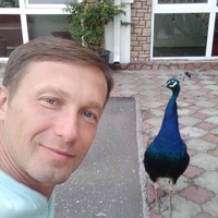Алексей Захарченко - видео и фото