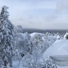 Галина Рожкова - видео и фото