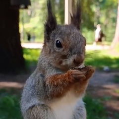 Мария Кузьмина - видео и фото