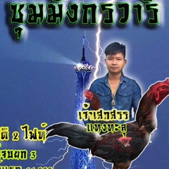 ซุ้ม มังกรวารี สังกัด เพชรรุ่งเรือ& - видео и фото