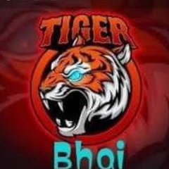 Tiger Bhai - видео и фото