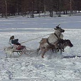 Сергей Иванов - видео и фото