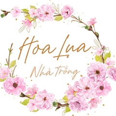 Hoa-Lua Nha-Trong - видео и фото