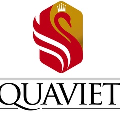 Quaviet Info - видео и фото