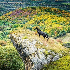 Мага Байрамуков - видео и фото