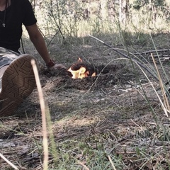 Юрий Чумаков - видео и фото