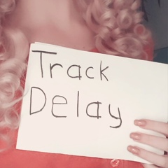 Track Delay - видео и фото