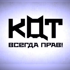 Shurik Kot - видео и фото