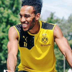 Pierre-Emerick Aubameyang - видео и фото