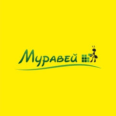 Муравей Муравей - видео и фото