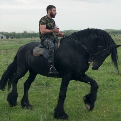 Kamal Temirov - видео и фото