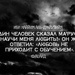 Aga Mamedov - видео и фото