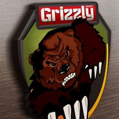 Grizzly Airsoft - видео и фото